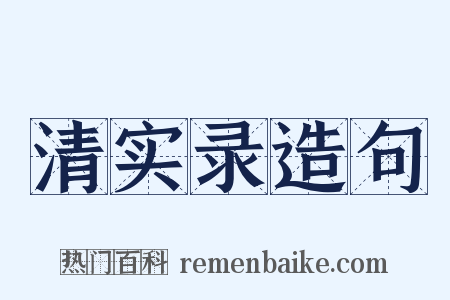 清实录造句是什么意思的图片